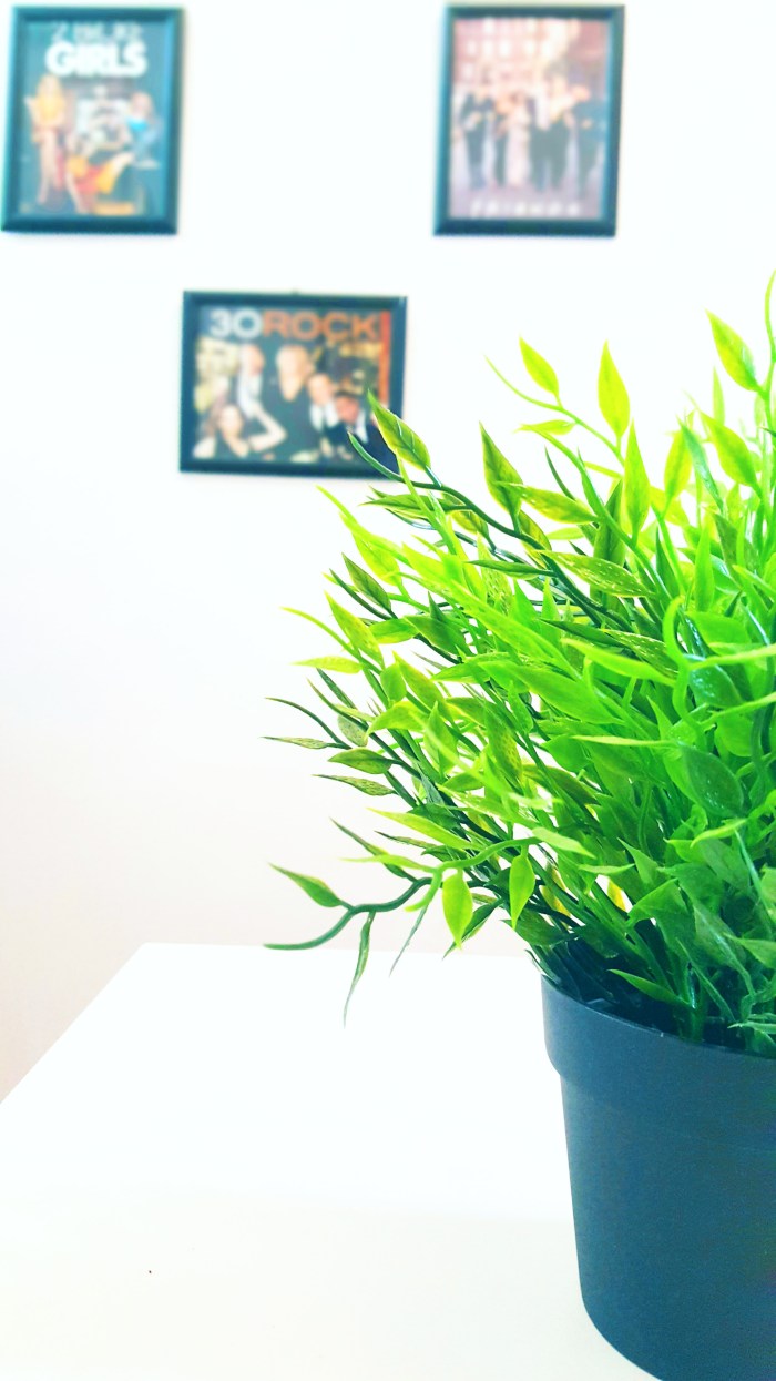 Plant and posters of favorite Tv shows